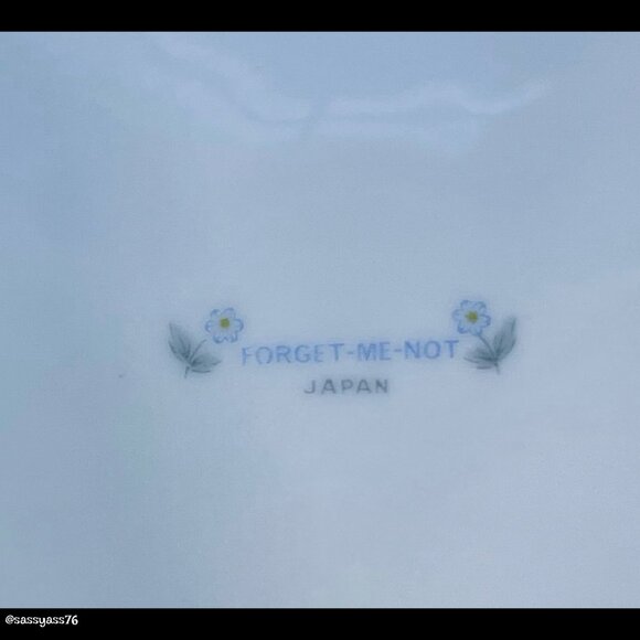 ▪️VTG▪️FORGET-ME-NOT▪️4 Piece 10.25" Blue Gray Floral Platinum Fine China Plates - Picture 4 of 4